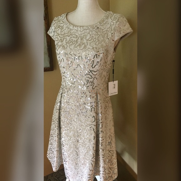 NWT Calvin Klein Sequin Ivory Lace Sheath Dress 6 - Picture 5 of 9